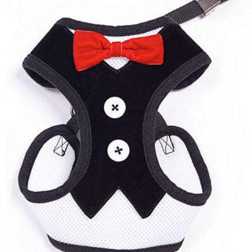 Harness Vest Tuxedo Pet Collar with Red Bow