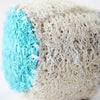 Attractive Loofah Sponge Ball Pet Molar